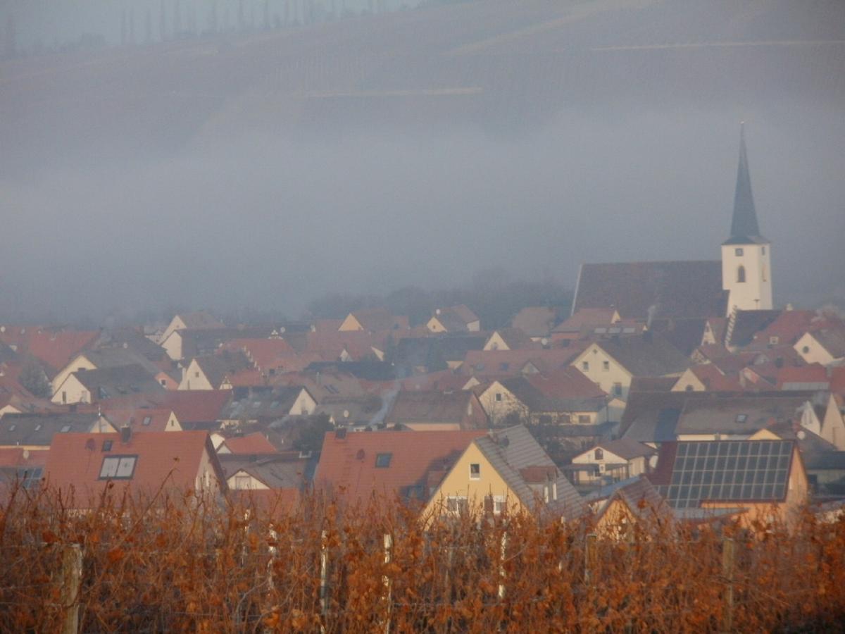 Gaestehof - Weinbau Saeger Nordheim am Main Zewnętrze zdjęcie