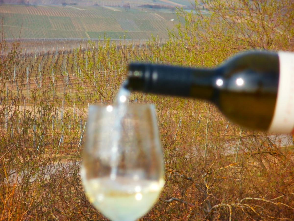 Gaestehof - Weinbau Saeger Nordheim am Main Zewnętrze zdjęcie